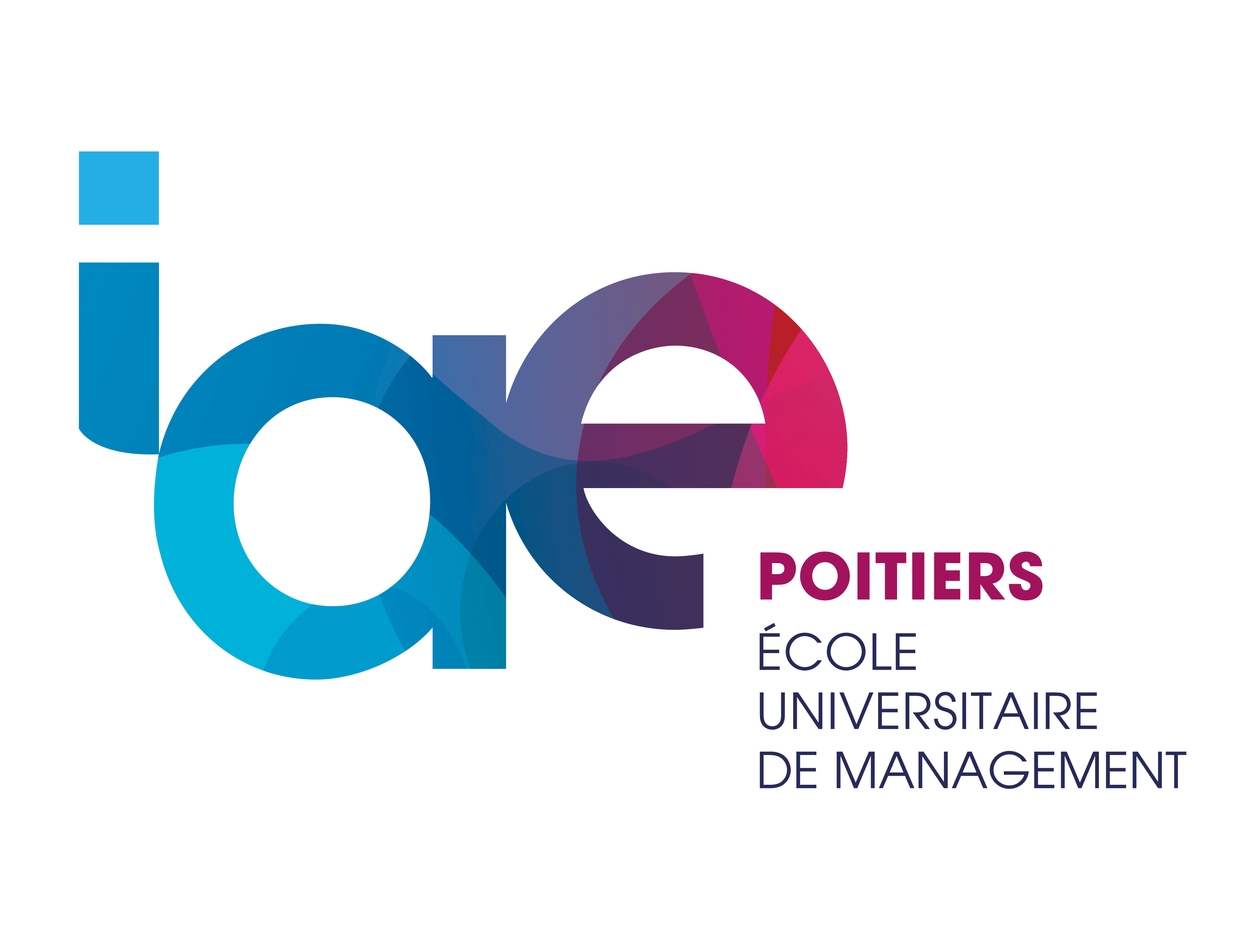 Logo_IAE (1)